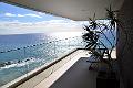324_Portugal_Madeira_Saccharum