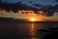 325_Portugal_Madeira_Saccharum