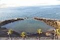 326_Portugal_Madeira_Saccharum