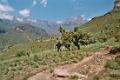 2004SouthAfrica_Drakensberg_Bild2