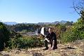 2016_17_Ethiopia_North_Tis_Issat_Faelle
