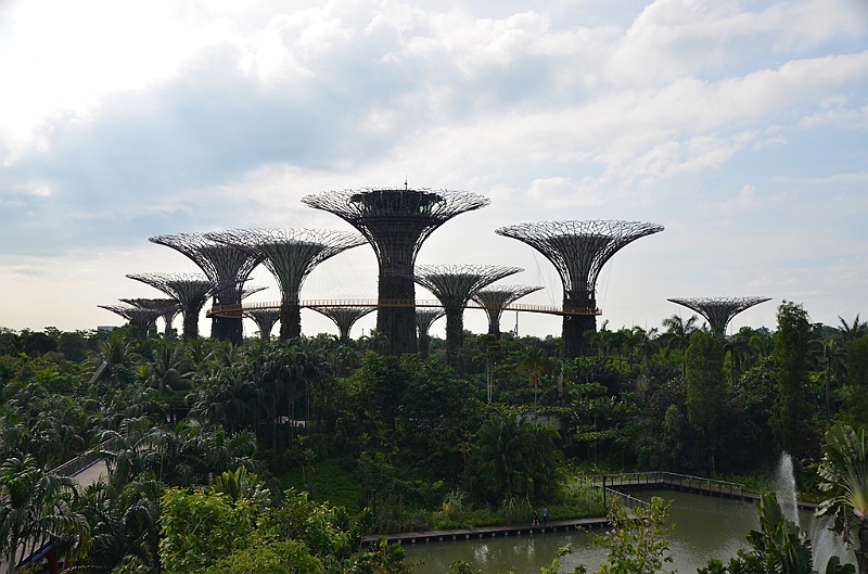 022_Singapore_Gardens_by_the_Bay.JPG