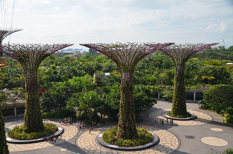 035_Singapore_Gardens_by_the_Bay.JPG