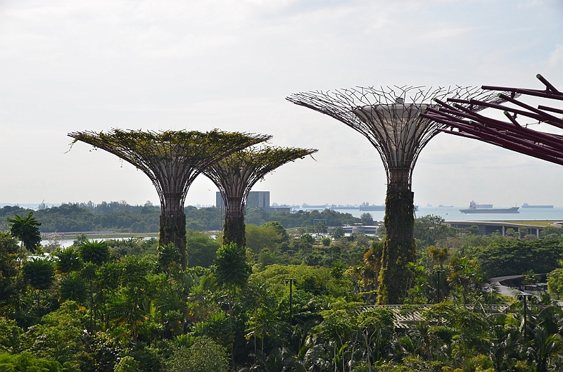 039_Singapore_Gardens_by_the_Bay.JPG