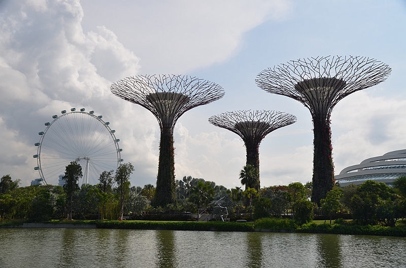 047_Singapore_Gardens_by_the_Bay.JPG