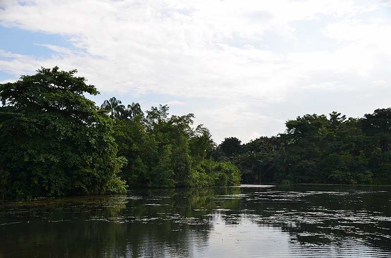 131_Singapore_Botanic_Gardens.JPG