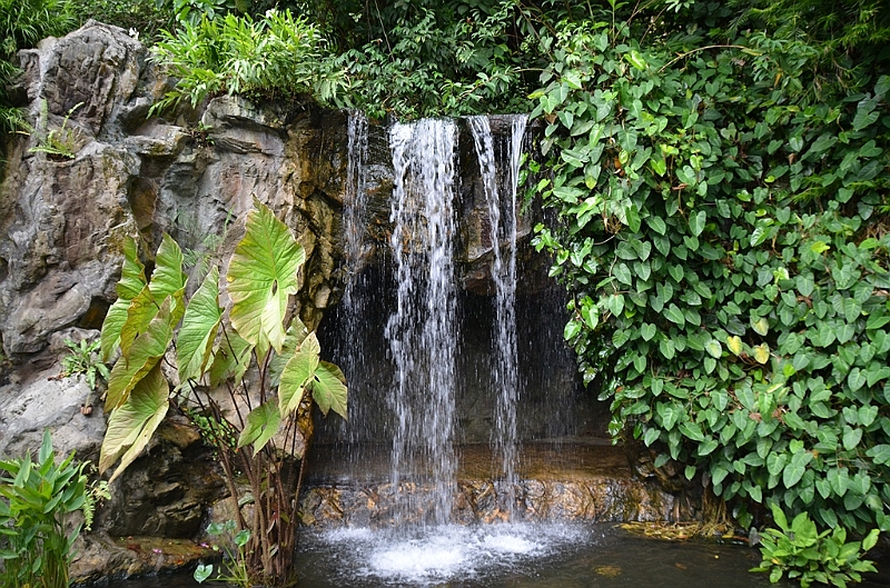 183_Singapore_Botanic_Gardens.JPG
