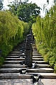 046_Singapore_Gardens_by_the_Bay
