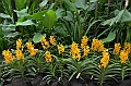 148_Singapore_Botanic_Gardens