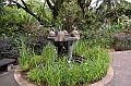 158_Singapore_Botanic_Gardens