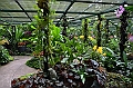 160_Singapore_Botanic_Gardens
