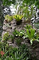 173_Singapore_Botanic_Gardens