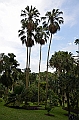 180_Singapore_Botanic_Gardens