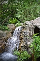 182_Singapore_Botanic_Gardens