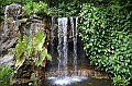 183_Singapore_Botanic_Gardens