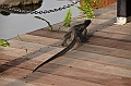 227_Singapore_Chinese_Garden