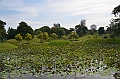 241_Singapore_Japanese_Garden