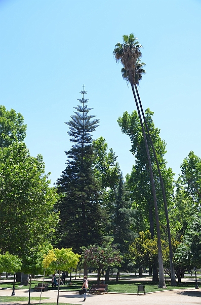 108_Chile_Santiago.JPG