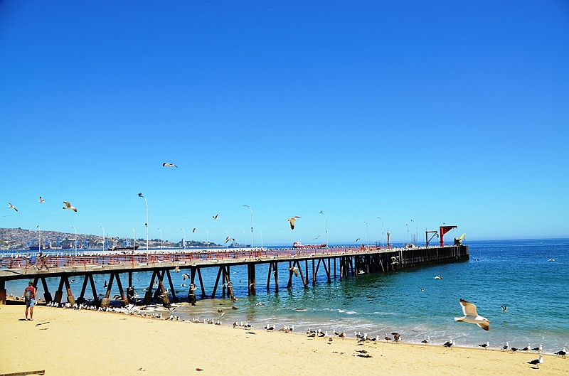 143_Chile_Vina_del_Mar.JPG