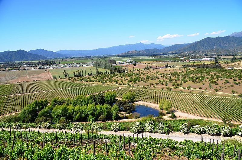 196_Chile_Indomita_Winery.JPG