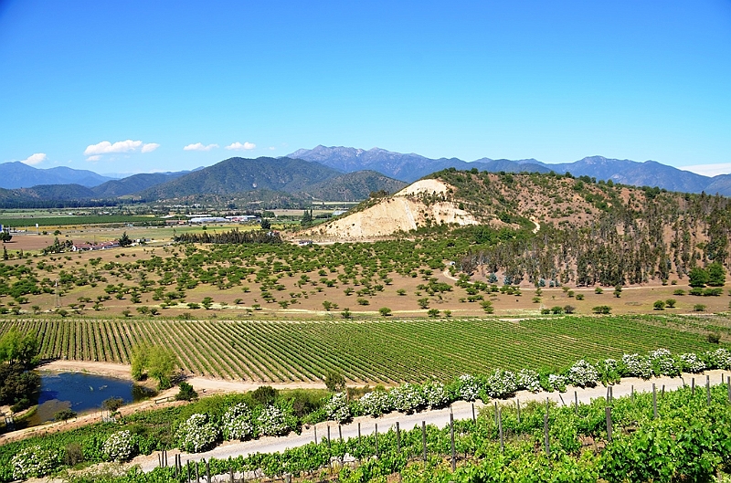 199_Chile_Indomita_Winery.JPG