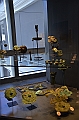 039_Chile_Santiago_Museo_Chilen_de_Arte_Precolombino