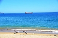 151_Chile_Vina_del_Mar