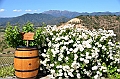 198_Chile_Indomita_Winery