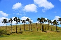 034_Chile_Easter_Island_Anakena
