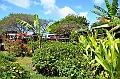 213_Chile_Easter_Island_Rano_Raraku