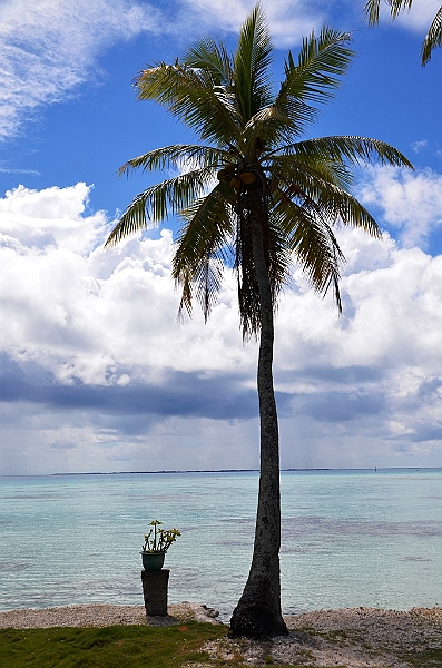 029_French_Polynesia_Fakarava.JPG