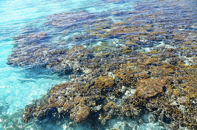 054_French_Polynesia_Fakarava.JPG