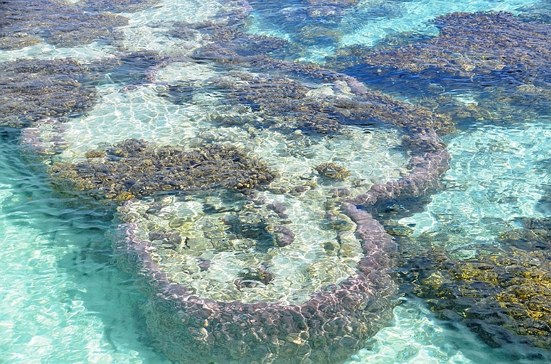 055_French_Polynesia_Fakarava.JPG