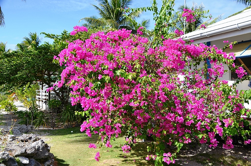 056_French_Polynesia_Fakarava.JPG