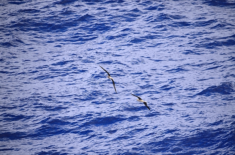 072_French_Polynesia.JPG