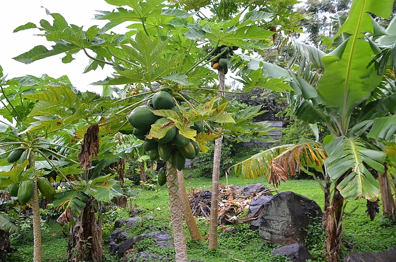091_French_Polynesia_Gambier_Islands_Rikitea.JPG