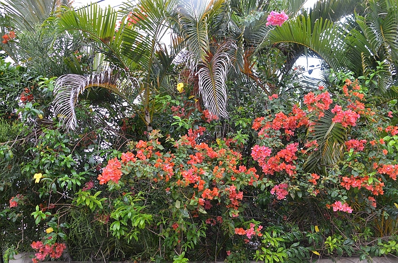 093_French_Polynesia_Gambier_Islands_Rikitea.JPG