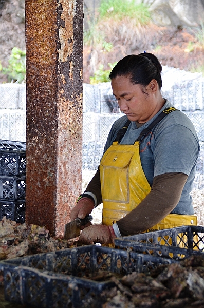 152_French_Polynesia_Gambier_Islands_Aukena_Pearl_Farm.JPG