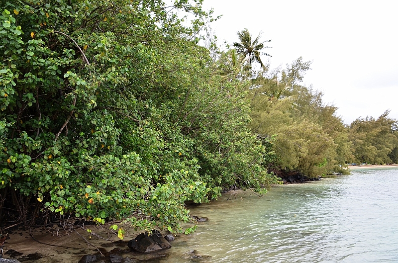 165_French_Polynesia_Gambier_Islands_Aukena.JPG
