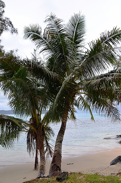 167_French_Polynesia_Gambier_Islands_Aukena.JPG