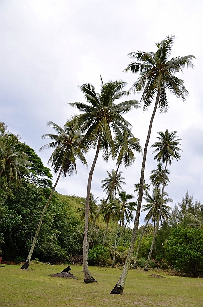 172_French_Polynesia_Gambier_Islands_Aukena.JPG