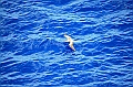 006_French_Polynesia_Fakarava