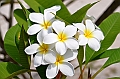 027_French_Polynesia_Fakarava