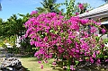 056_French_Polynesia_Fakarava