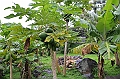 091_French_Polynesia_Gambier_Islands_Rikitea
