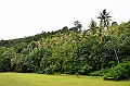 141_French_Polynesia_Gambier_Islands_Aukena