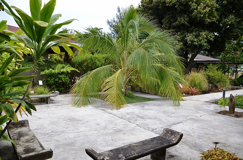033_Tahiti_Musee_de_Tahiti_et_des_IIes.JPG