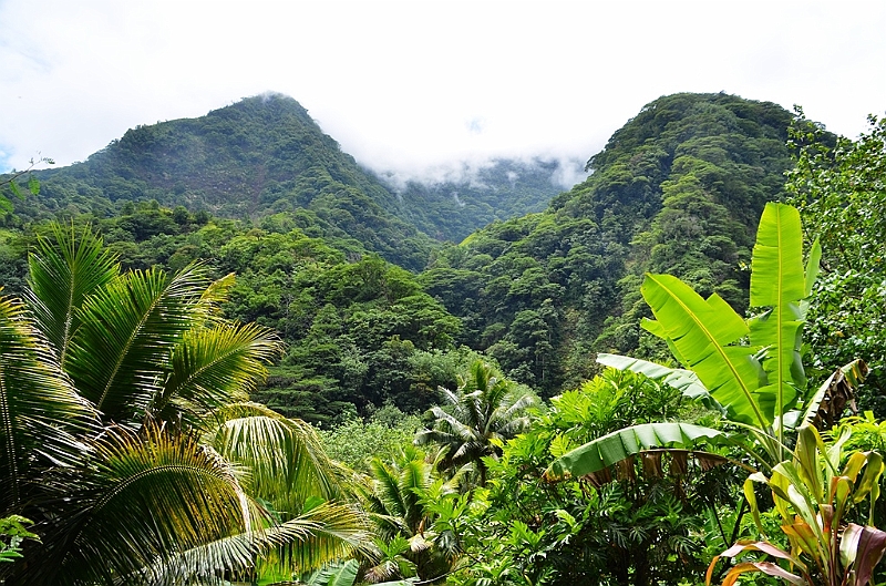 060_Tahiti.JPG