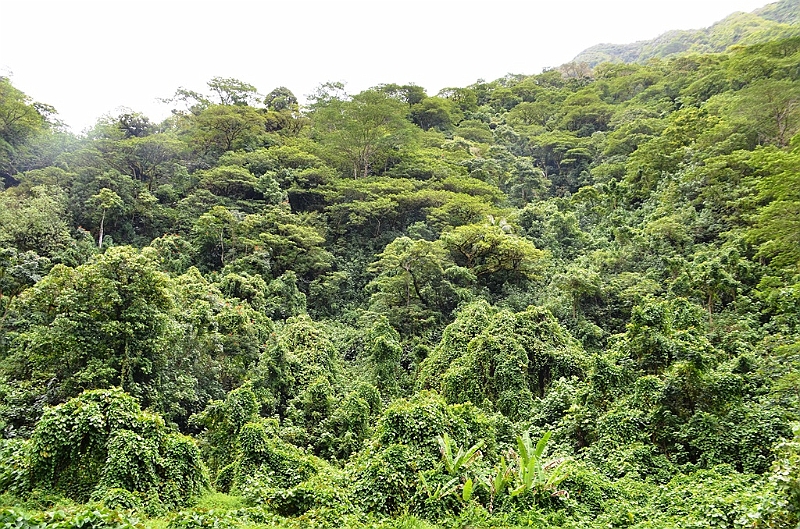 064_Tahiti.JPG