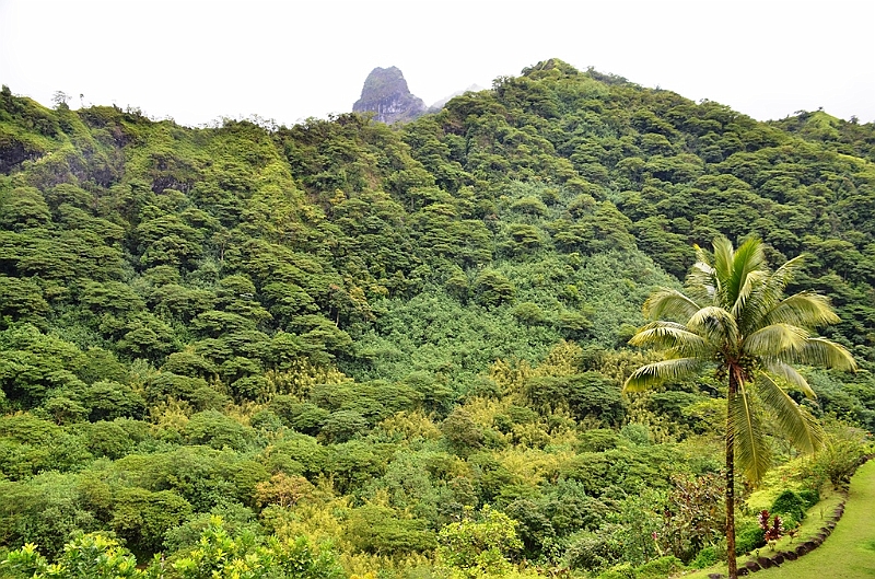080_Tahiti.JPG